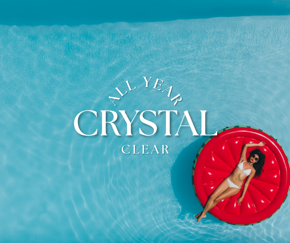 Salt Chlorinator System